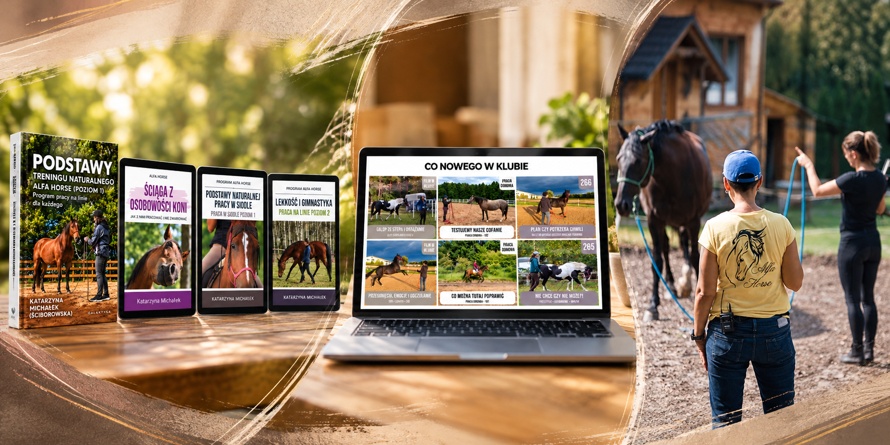Baner Alfa Horse_ Nauka i Trening