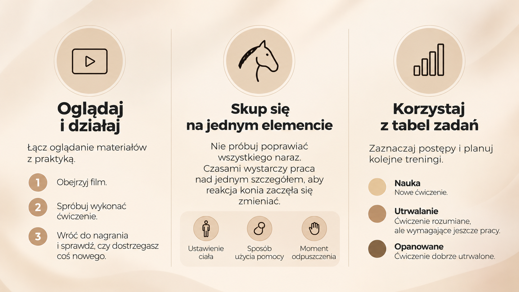 Infografika_ Trzy kroki treningu konia