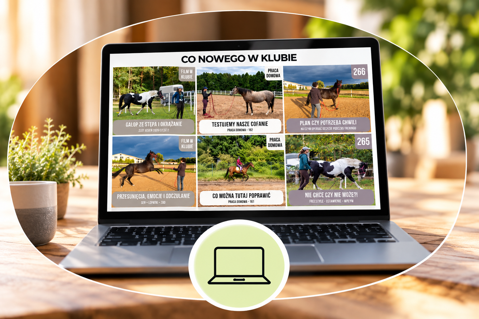 Laptop z klubowymi nowościami jeździeckimi alfahorse
