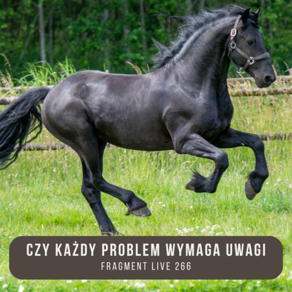 czy_kazdy_problem_wymaga_uwagi