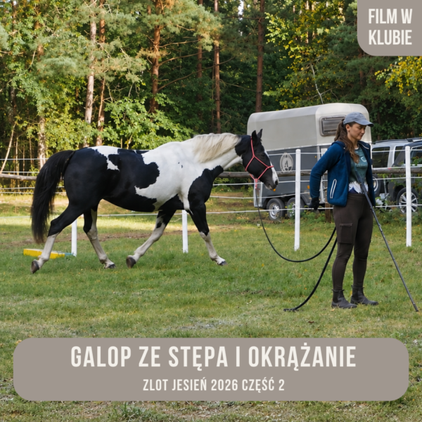 galop_ze_stepa_i_okrazanie