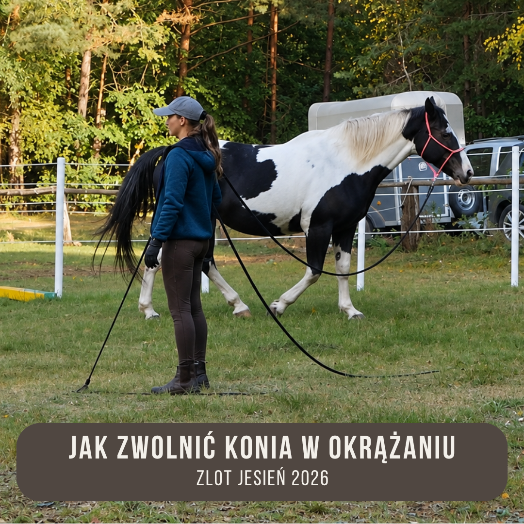 jak_zwolnic_konia_w_okrazaniu