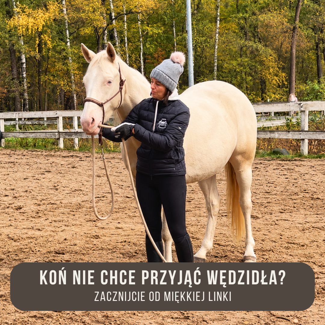 kon_nie_chce_przyjac_wedzidla