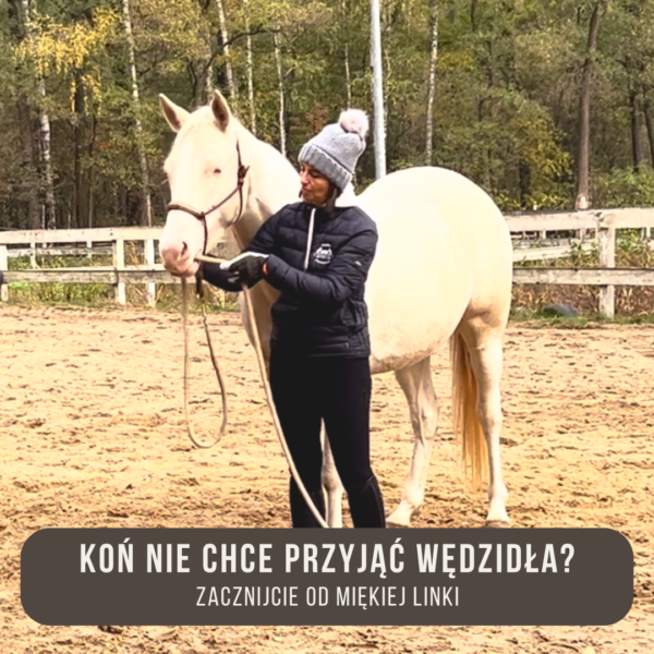 kon_nie_chce_przyjac_wedzidla
