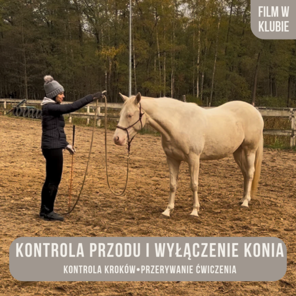 kontrpla_przodu_i_wylaczanie_konia