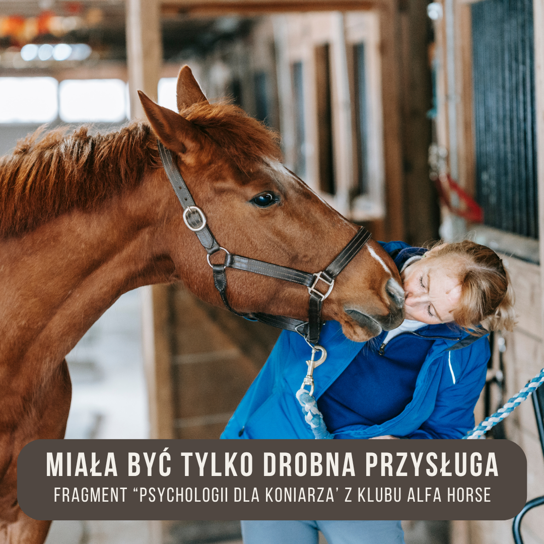 miała być tylko drobna przysługa - alfahorse