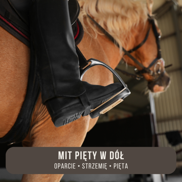 mit_piety_w_dol