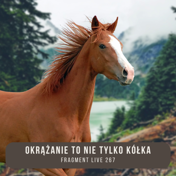 okrazanie_to_nie_tylko_kolka