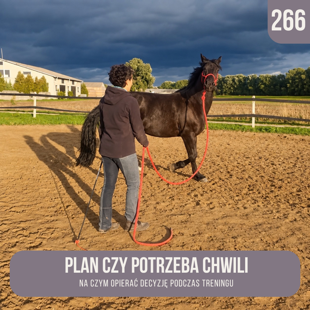 plan_czy_potrzeba_chwili