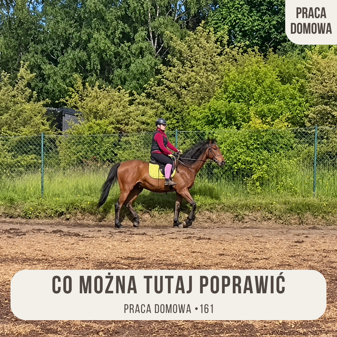 praca_domowa_161_co_mozna_tutaj_poprawic_alfahorse