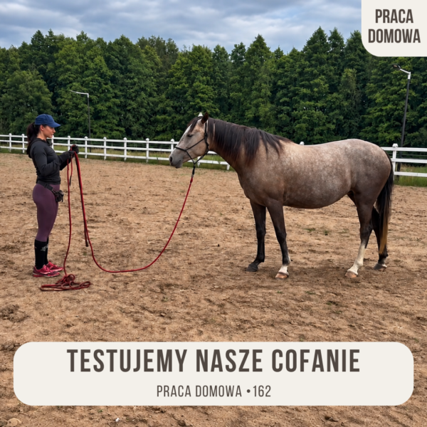 praca_domowa_162_trestujemy_nasze_cofanie_alfahorse