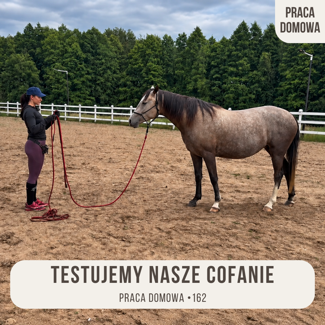 praca_domowa_162_trestujemy_nasze_cofanie_alfahorse