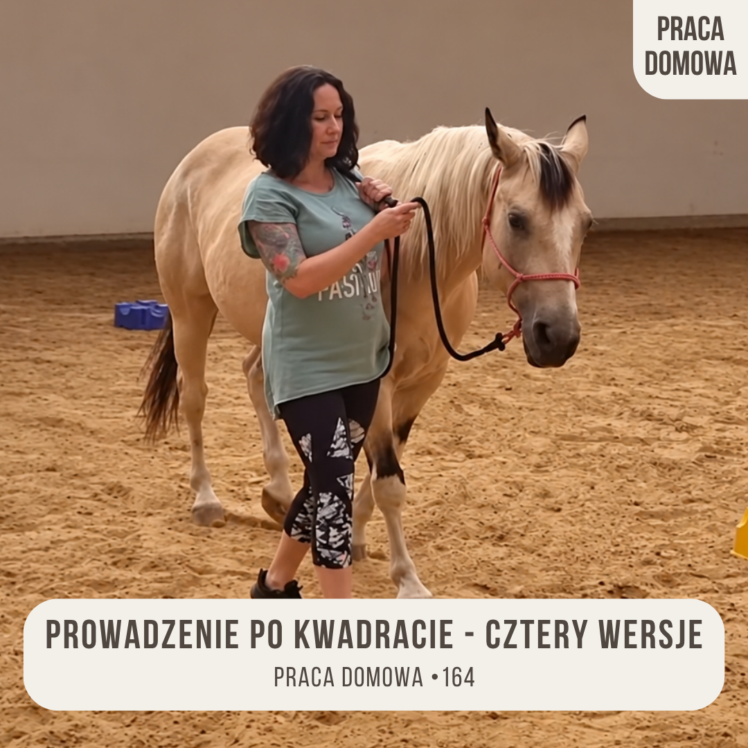 praca_domowa_164_prowadzenie_po_kwadracie_cztery_wersje
