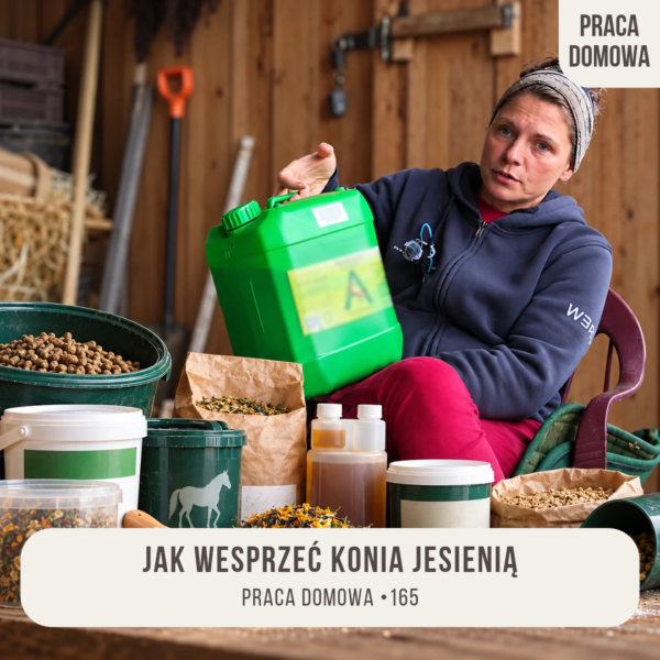 praca_domowa_165_jak_wesprzec_konia_jesienia_alfahorse