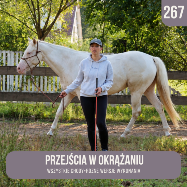 przejscia_w_okrazaniu