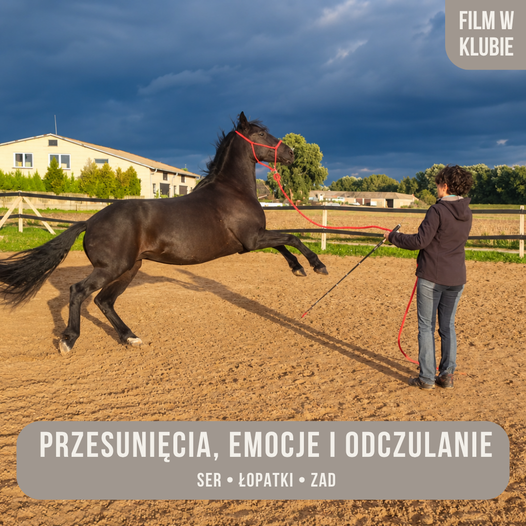 przesuniecia_emocje_i_odczulanie
