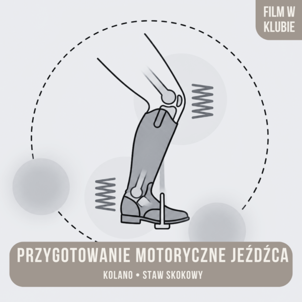 przygotowanie_motoryczne_jezdzca_kolano_i_staw_skokowy