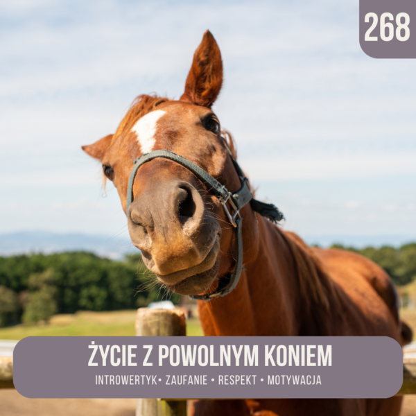 zycie_z_powolnym_koniem